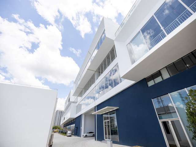 杨浦区正规白水泥哪家好