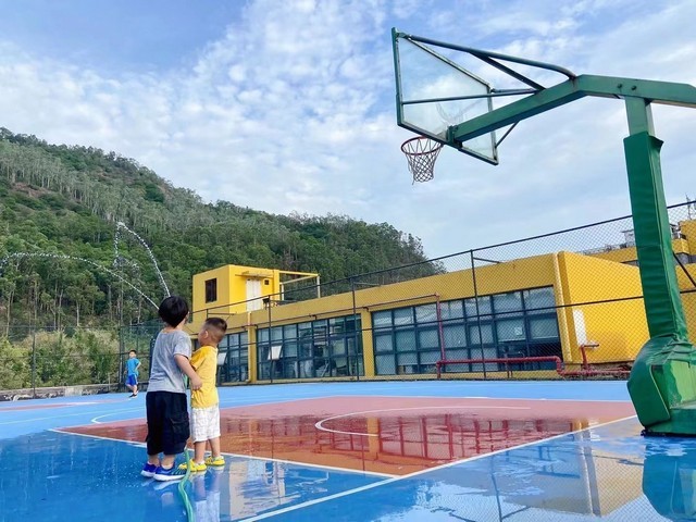 广东品质臻旺小猪酒价格多少