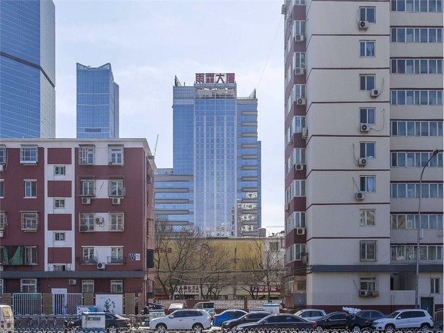 浙江宠物猫用品物流运输哪家靠谱